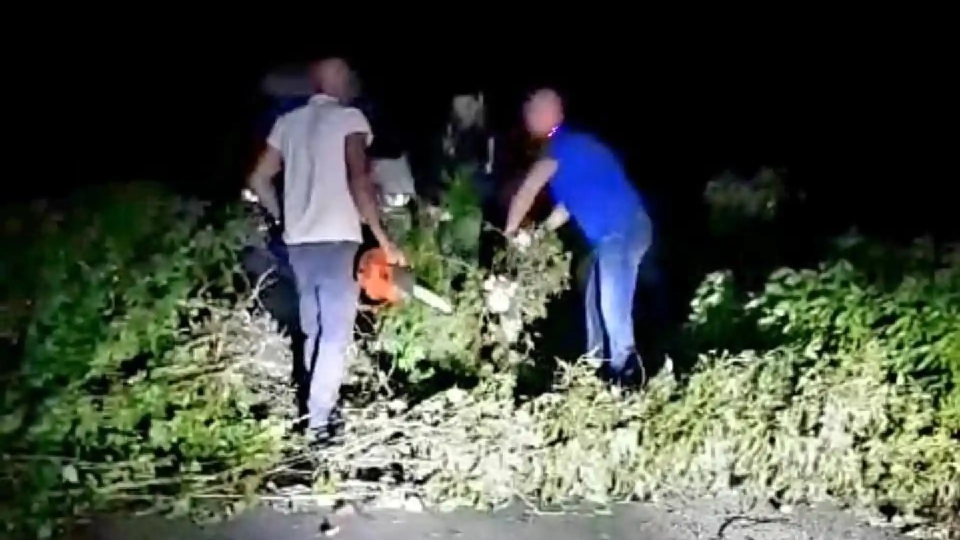 Macchia d'Isernia: matelmpo sul territorio comunale. Diversi gli alberi divelti dal vento. Il comune ringrazia i Consiglieri "operai".